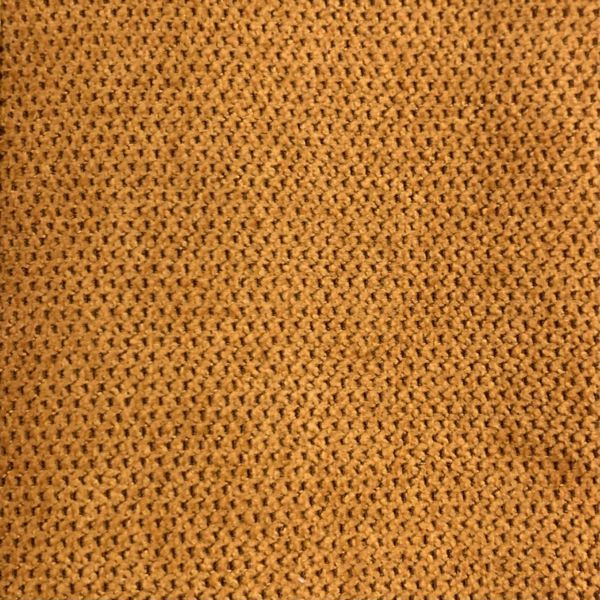 Picture of Plutone 12